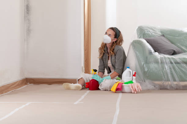 Reliable Mold Inspection And Testing contractor in Braintree, MA by 24 Hour Mold Removal